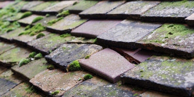 Whitbourne roof repair costs